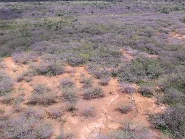 Vila da Ribeira, distrito de Cabaceiras, está em processo de desertificação, segundo o INSA (Foto: Reprodução/Lapis/INSA)