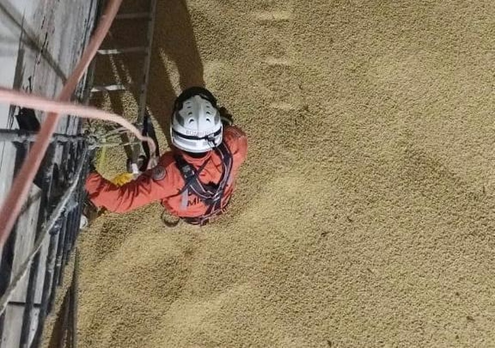 Trabalhadores morrem após caírem em silo de soja em fazenda na Bahia — Foto: Reprodução/TV Bahia