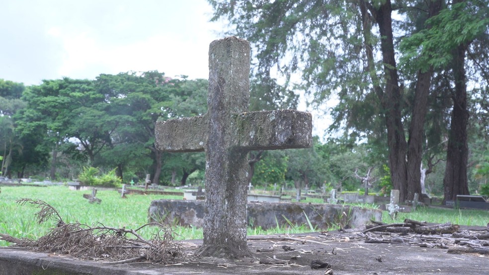 Túmulos em cemitério no DF, em imagem de arquivo  — Foto:  TV Globo/Reprodução