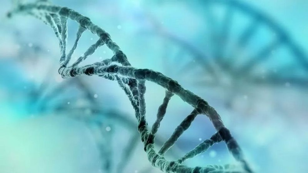Acaso criou sequências ou áreas de DNA idênticas entre pares de pessoas estudados, dizem cientistas — Foto: Getty Images via BBC