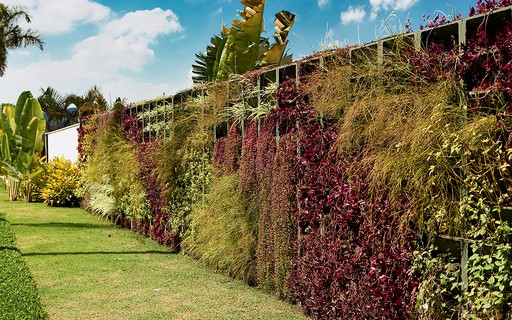 Como montar jardins verticais? Confira 15 ideias - Casa e Jardim |  Paisagismo