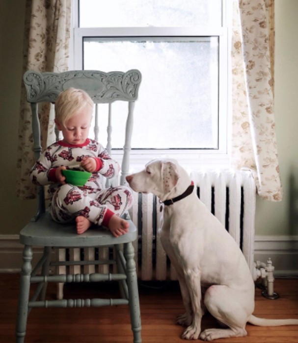 Cachorra Nora escolheu Archie como melhor amigo (Foto: Instagram/Reprodução) Cachorra Nora escolheu Archie como melhor amigo (Foto: Instagram/Reprodução)