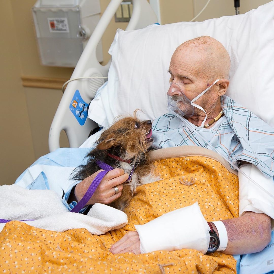 Veterano de guerra recebe visita de cachorrinha antes de morrer  (Foto: Reprodução/Instagram)