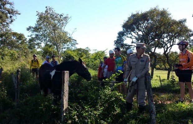 Grupo de ciclistas ajuda a resgatar égua presa em fazenda de Goiânia GOiás 2 (Foto: Ricardo Régis/Vc no G1)
