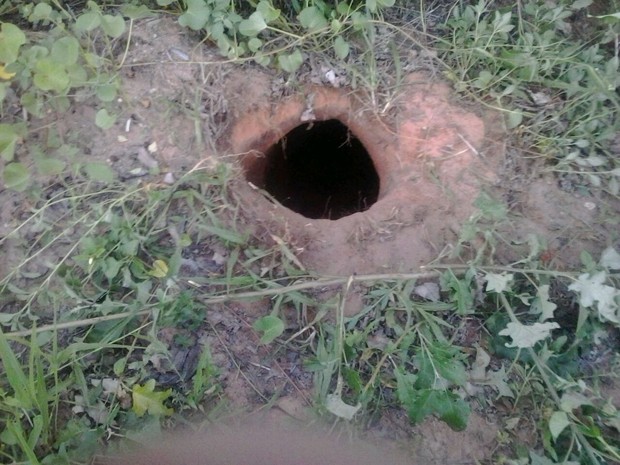 Agentes penitenciários encontraram buraco por onde supostamente os presos fugiram (Foto: Divulgação)