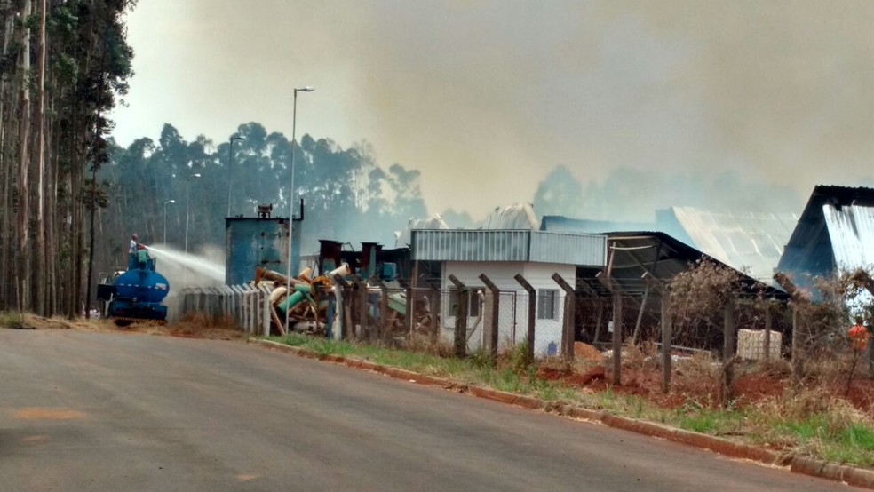 Incêndio atingiu a fábrica de celulose em Lençóis Paulista  (Foto: Fernanda Ubaid / TV TEM )
