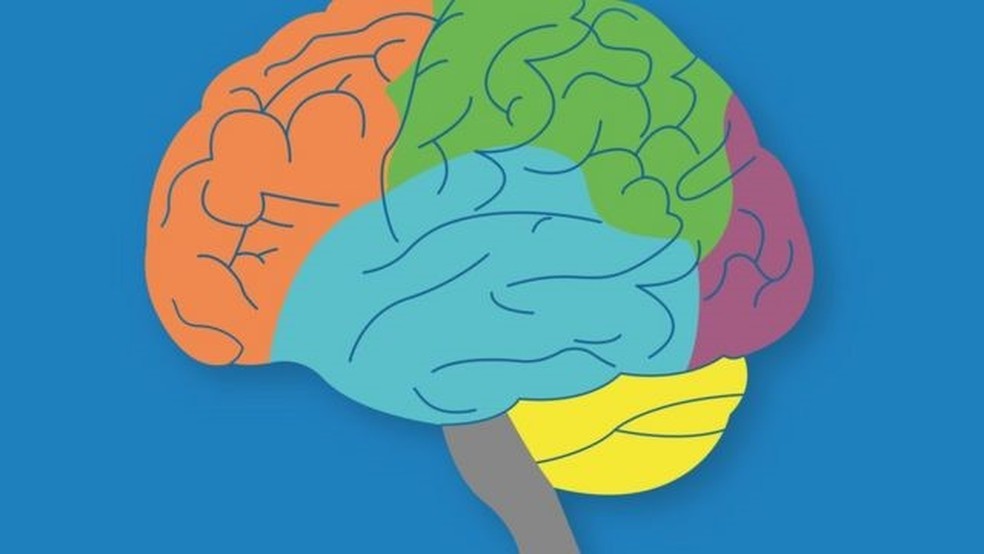 C&oacute;rtex pr&eacute;-frontal, que controla impulsos e emo&ccedil;&otilde;es, ainda &eacute; imaturo nas crian&ccedil;as &mdash; Foto: Getty Images/Via BBC