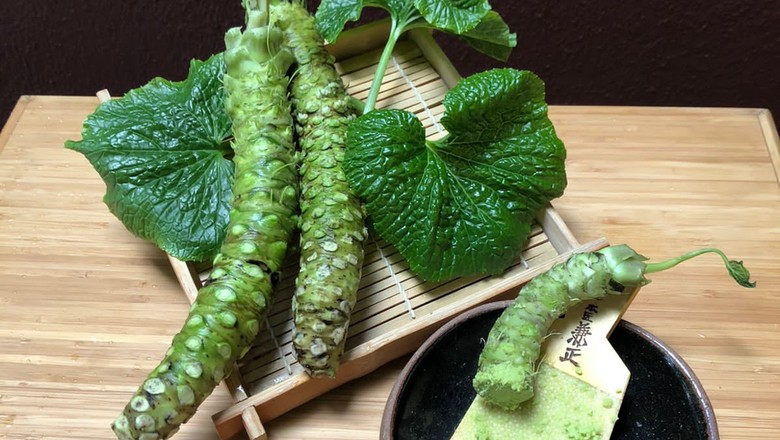 O verdadeiro wasabi. Planta chega a custar R$ 8 mil o quilo em restaurantes (Foto: Divulgação)