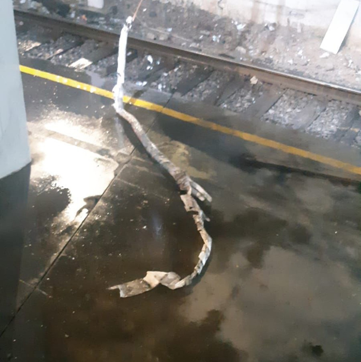 Homem morre por choque elétrico ao tentar roubar cabos de linha férrea ...