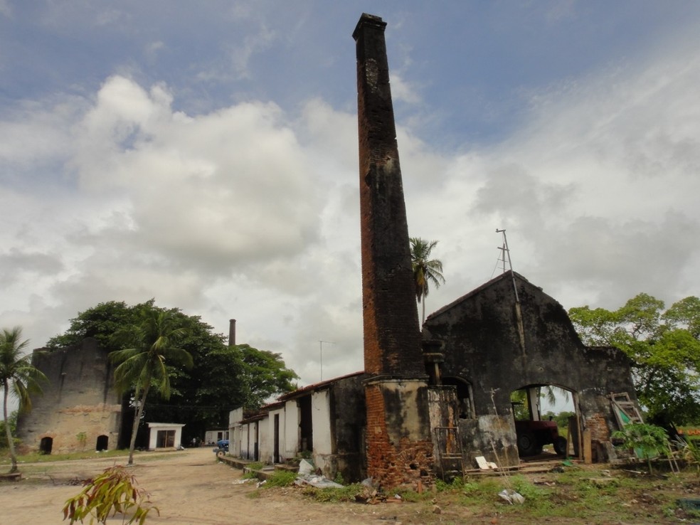 Parte das ruínas da fábrica de cimentos na Ilha Tiriri, em Santa Rita, PB — Foto: Alysson Medeiros/Acervo pessoal