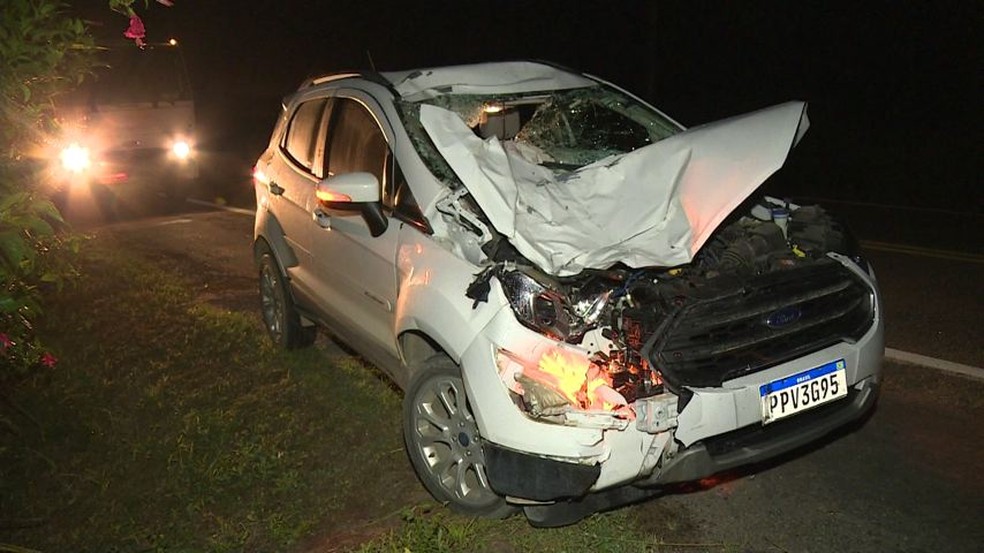 Carro ficou destruído após bater em cavalo, no ES — Foto: Reprodução/ TV Gazeta