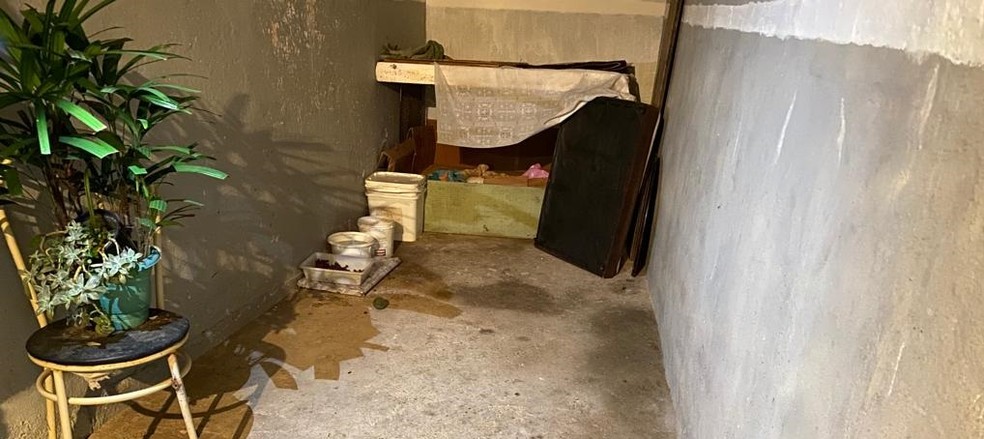 Área externa da casa onde o homem matou os nove filhotes de cachorro — Foto: Reprodução