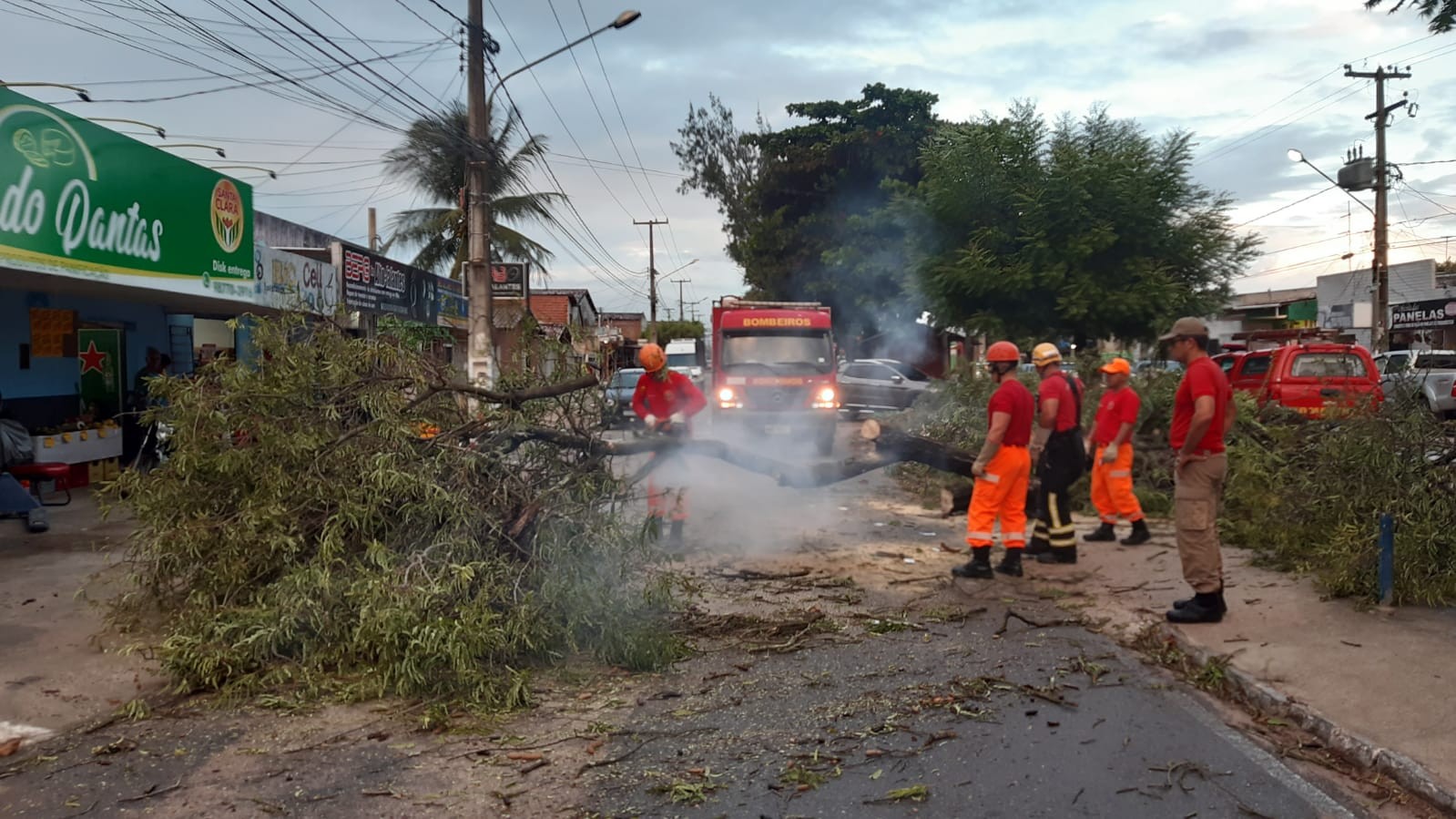 Árvore cai e atinge carro e moto em avenida na Zona Norte de Natal