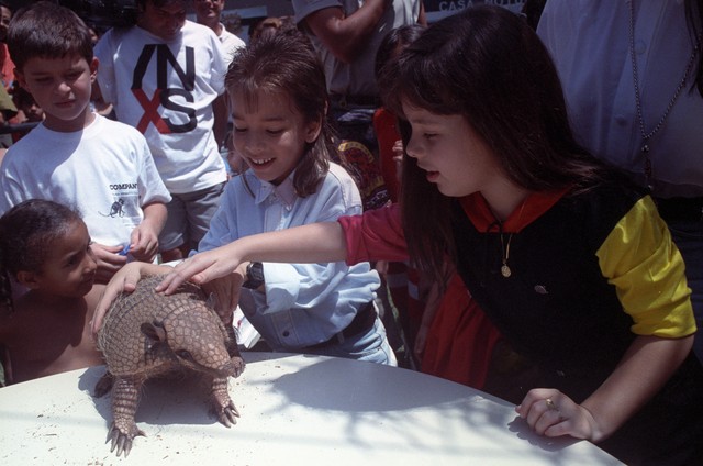 Fotos resgatam alegria do p&uacute;blico no Jardim Zool&oacute;gico do Rio, apesar de hist&oacute;rico de problemas
