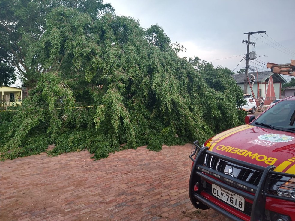 Equipes dos bombeiros já registraram 22 ocorrências após vendaval em Rio Branco — Foto: Ascom/Corpo de Bombeiros do Acre