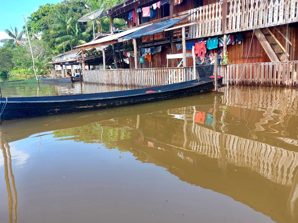 Alagamentos no município são provocados por cheia do rio Tocantins. — Foto: Defesa Civil