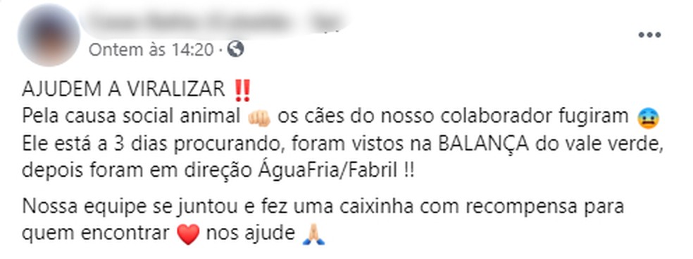 Postagem ajudou na procura por animais em Cubatão, SP — Foto: Reprodução/ Redes Sociais