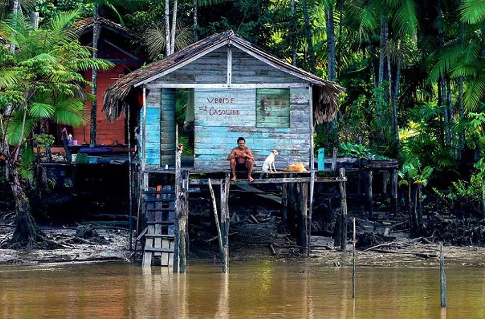  Embora o país avance em leis e políticas de proteção, a Amazônia segue o modelo descrito como “boom-colapso” — Foto: Marcelo Camargo/Agência Brasil