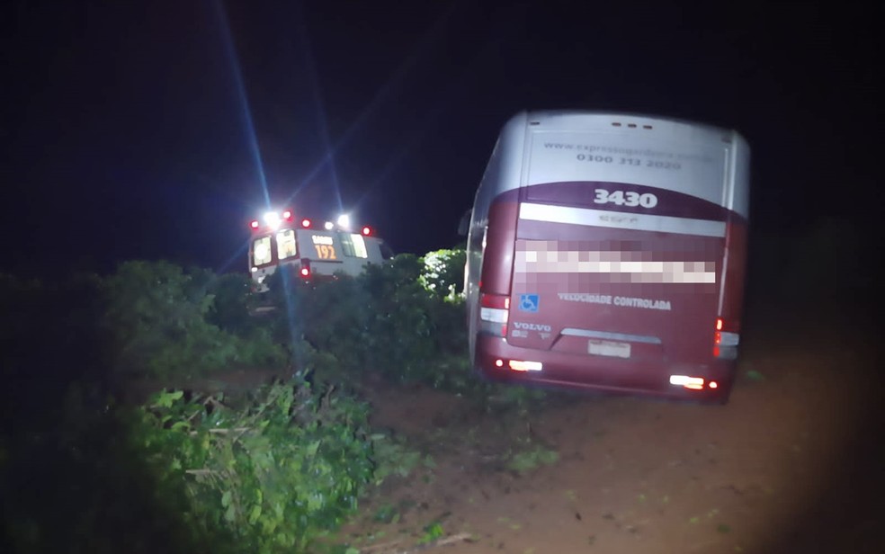 Motorista perde controle de ônibus e invade plantação de café na da MG-167, entre Três Pontas e Varginha, MG — Foto: Denis Pereira / Equipe Positiva