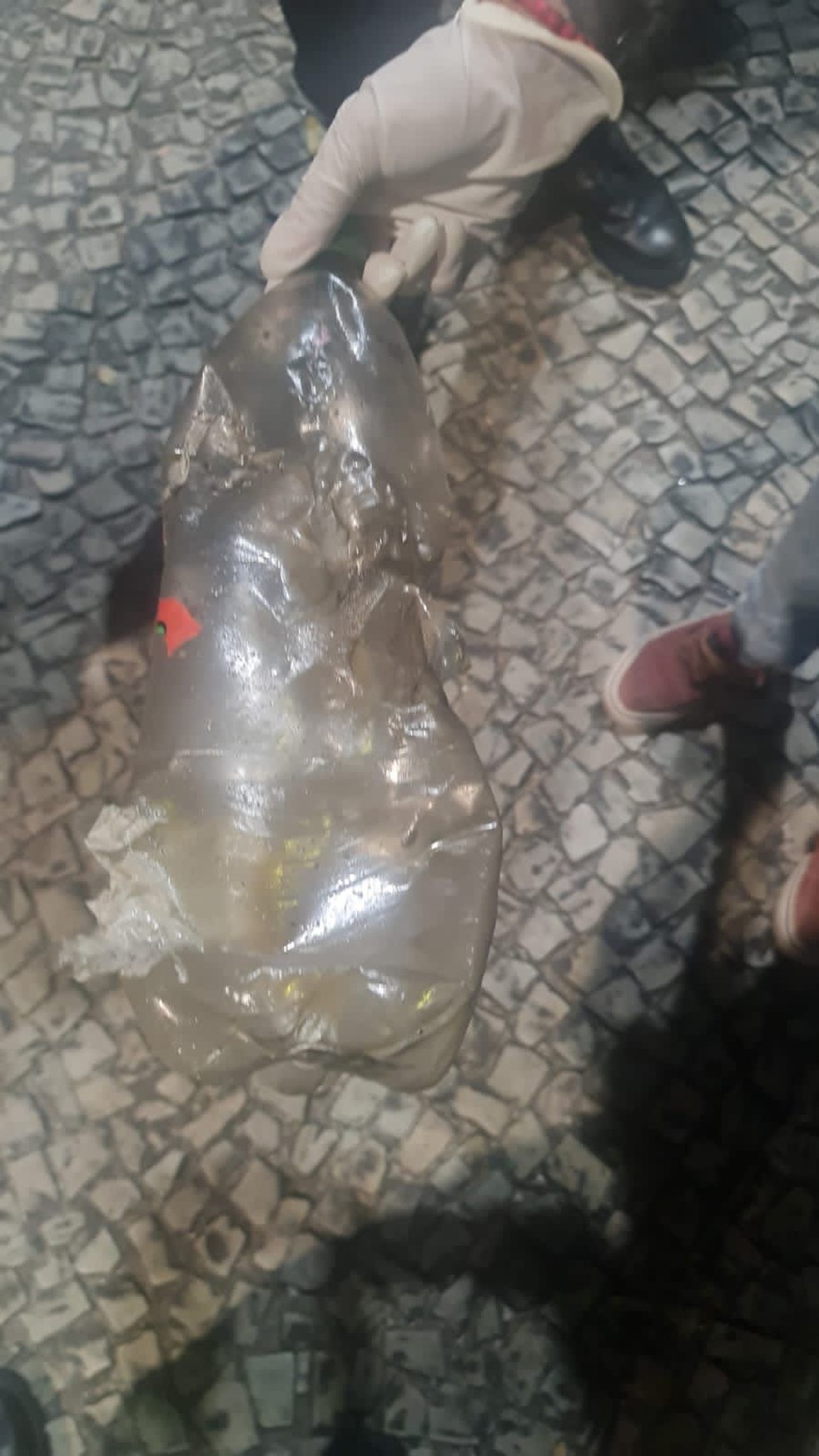 A garrafa, que ir&aacute; passar por uma per&iacute;cia do Instituto de Criminal&iacute;stica Carlos &Eacute;boli (ICCE) &mdash; Foto: Reprodu&ccedil;&atilde;o