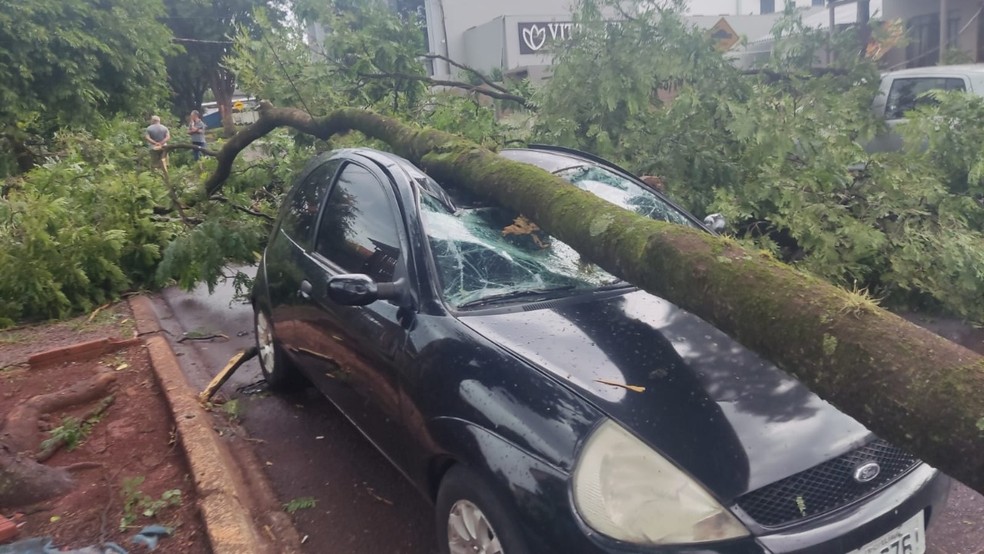 Carro foi atingido por árvore durante temporal, em Cafelândia — Foto: Genésio Roecher/GR Informações