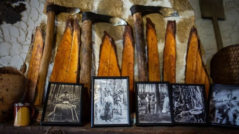 Nos séculos 19 e 20 a extração de resina de pinheiro se tornou lucrativa na região de Tierra de Pinares e da Sierra de Gredos — Foto: SUSANA GIRÓN