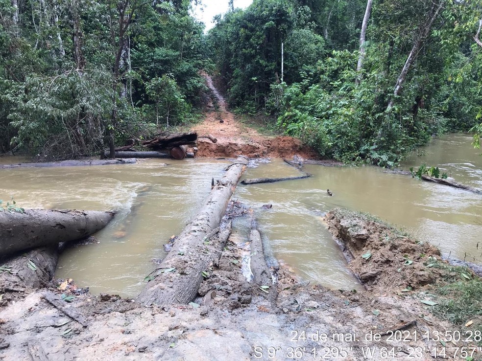 Operação na Terra Indígena Karipuna em Rondônia  — Foto: PF/Divulgação 