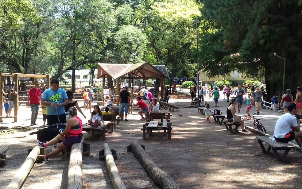 Visitantes no Parque Alfredo Lofgren, o Horto Florestal, em foto antiga de antes das medidas de isolamento para a Covid-19 &mdash; Foto: Giaccomo Voccio/G1