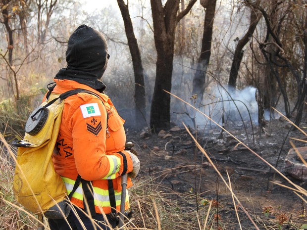 Bombeiros controlam incêndio no Núcleo Rural Boa Esperança II (Foto: Vianey Bentes/ Tv Globo)