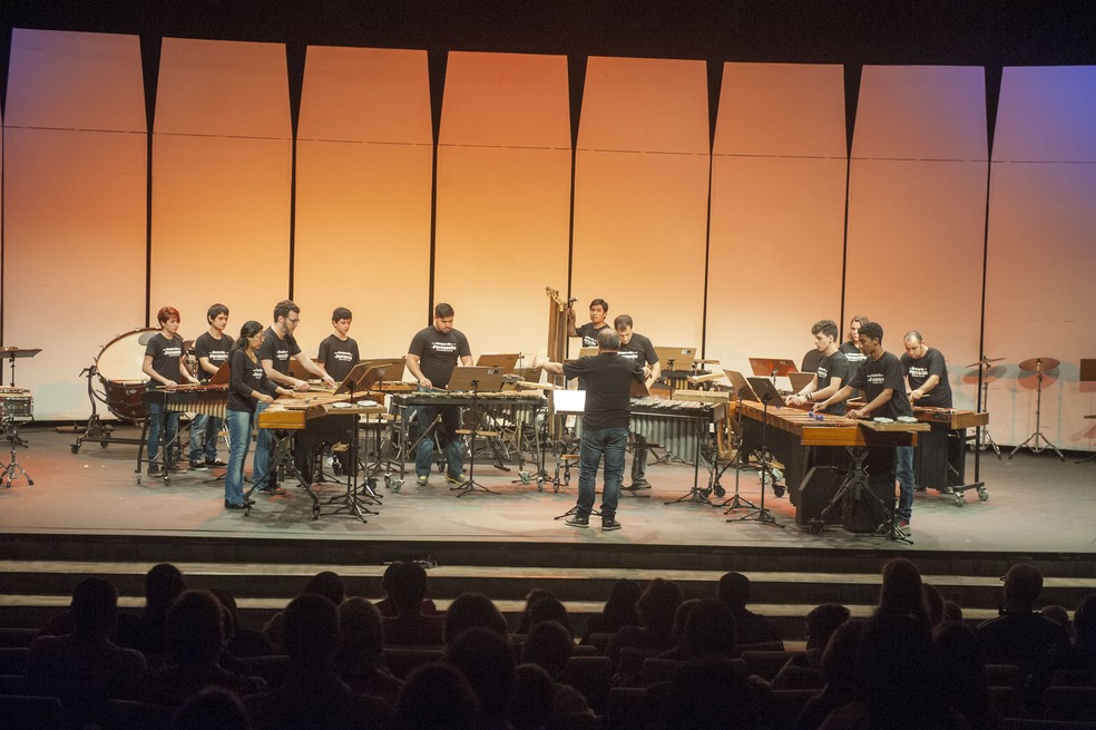 Em 13 cursos os candidatos não precisam ter conhecimento musical (Foto: Divulgação/Conservatório de Tatuí)