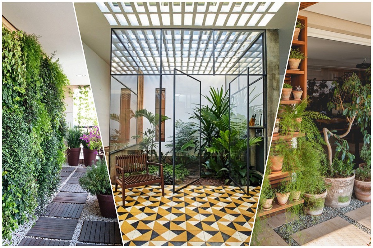 Plantas de apartamento: 11 espécies ideais para cantinhos com