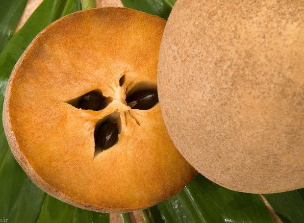 O sapoti é um fruto com polpa carnuda e poucas sementes (Foto: Peggy Greb, United States Department of Agriculture/Wikimedia Commons)