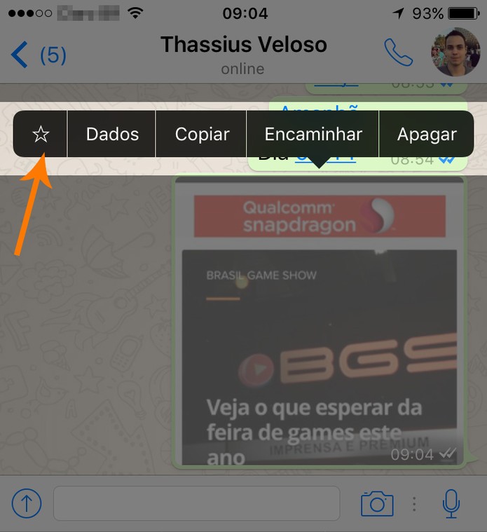 WhatsApp com mensagem sinalizada no iPhone (Foto: Reprodução)