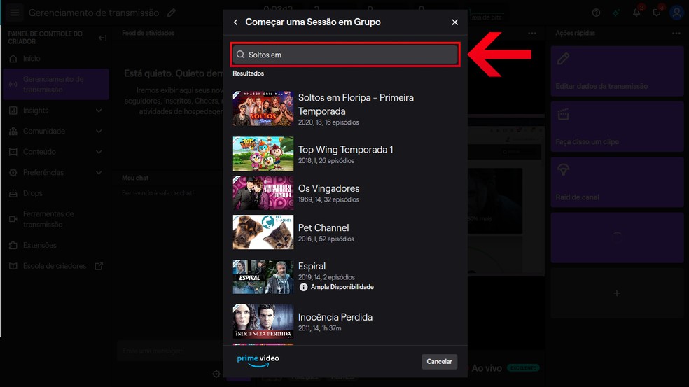 Pesquise o filme ou série do Prime Video que deseja transmitir na live na Twitch TV — Foto: Reprodução/Leandro Eduardo