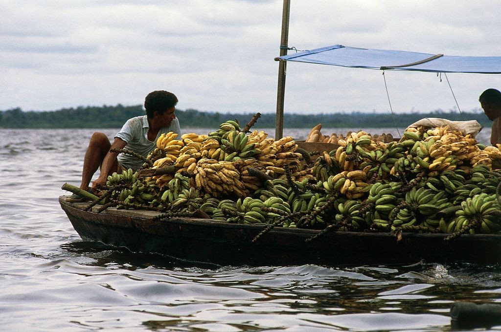 BRAZIL - APRIL 23: Boat loaded with bunches of bananas, Manaus, The Amazon rainforest, Brazil. (Photo by DeAgostini/Getty Images) (Foto: De Agostini via Getty Images)