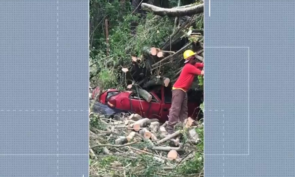 Homem sai ileso após carro em que ele estava ser atingido por árvore no sul da Bahia — Foto: Reprodução / TV Bahia