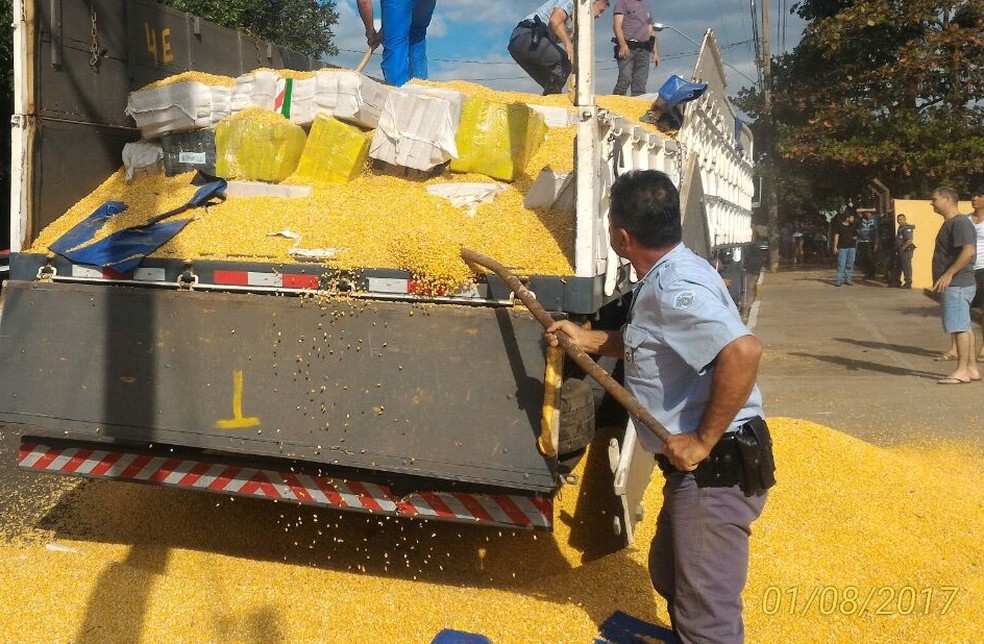 Maconha estava escondida em meio à carga de milho a granel (Foto: Cedida/Polícia Militar Rodoviária)