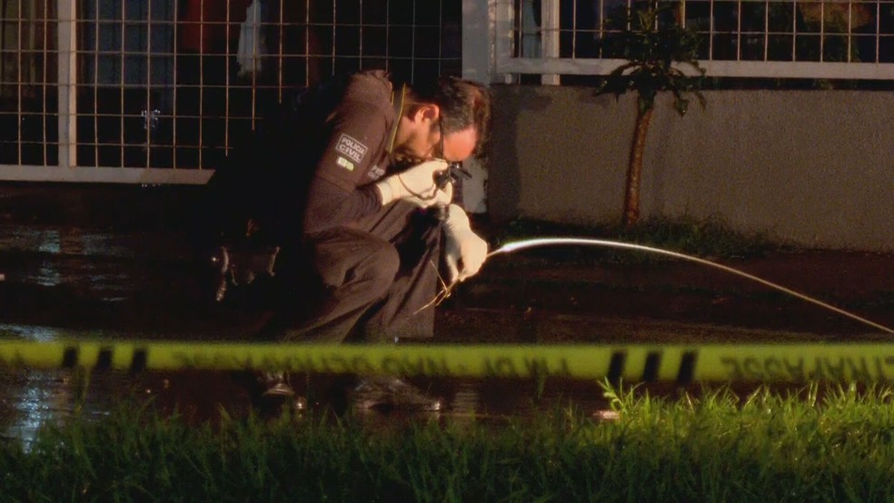 Polícia Civil faz perícia em local onde fio de alta tensão caiu, em Ceilândia, no DF — Foto: TV Globo/Reprodução