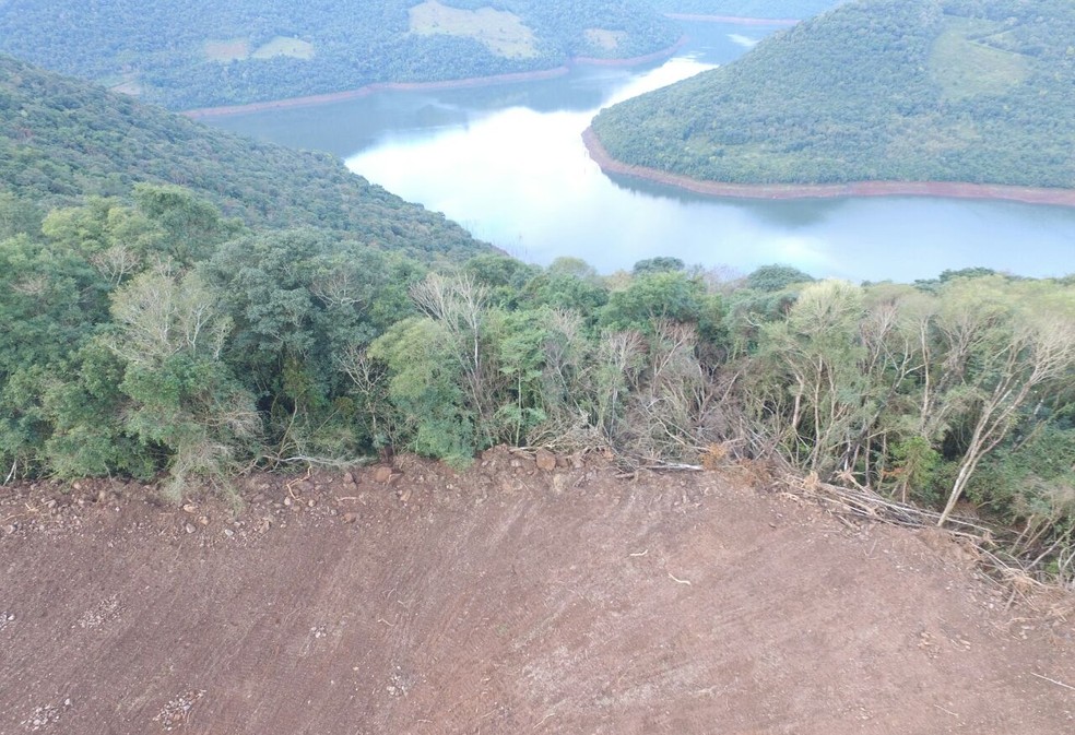 Desmatamento da Mata AtlÃªntica cresce em Alagoas, diz estudo (Foto: Patrulha Ambiental da Brigada Militar/DivulgaÃ§Ã£o)