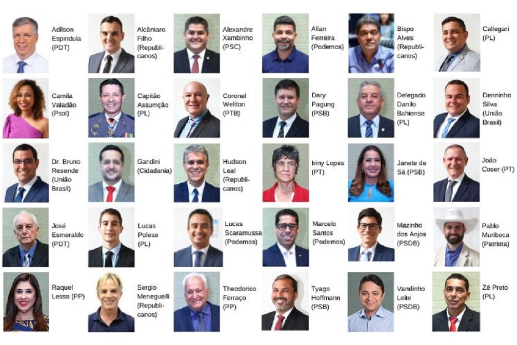 Deputados estaduais do Espírito Santo eleitos em 2022 — Foto: Divulgação/Ales