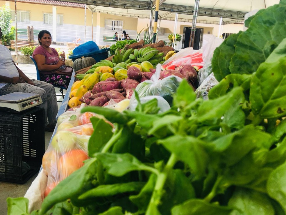 Produtores vendiam alimentos em feira na EAJ &mdash; Foto: Divulga&ccedil;&atilde;o