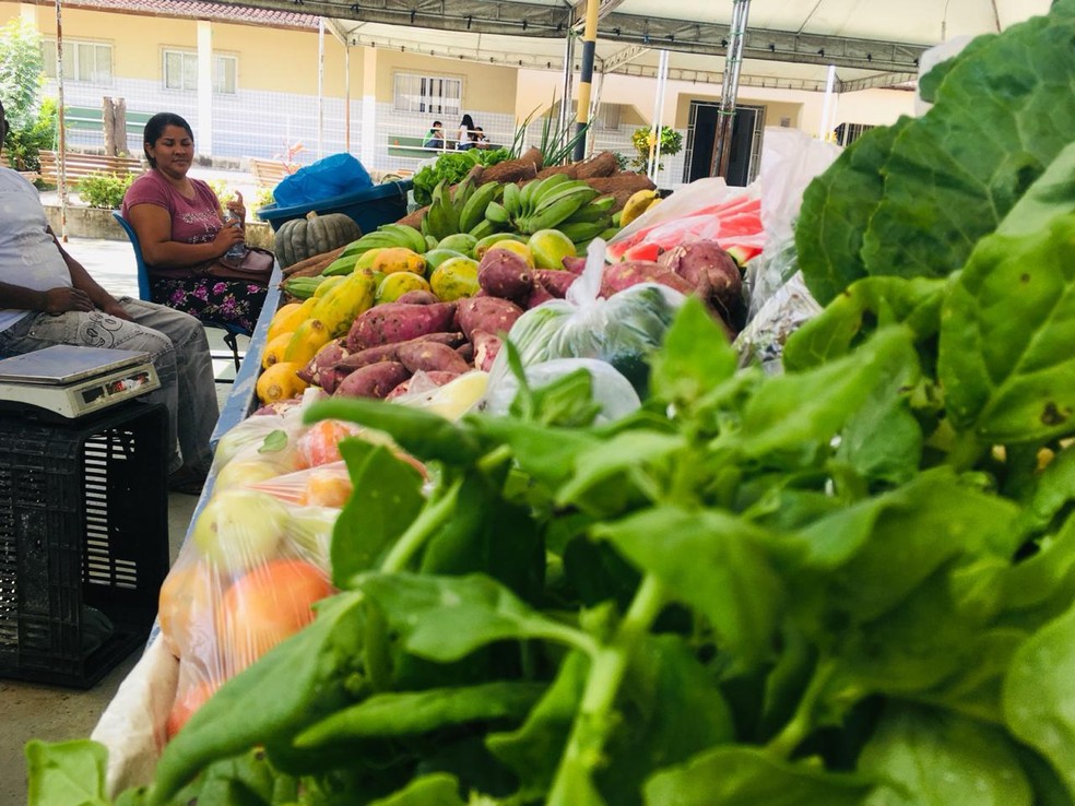 Produtores vendiam alimentos em feira na EAJ — Foto: Divulgação