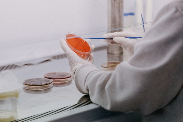 Dados extraídos de testes de PCR e exames de sorologia confirmam que a imunidade natural contra a doença é significativa – mas limitada para novos contágios (Foto: Trnava University/Unsplash) (Foto: pcr, placa científica, covid-19, coronavírus)