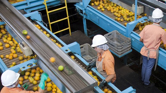 Commodities: Suco de laranja encerra o dia em forte alta em NY