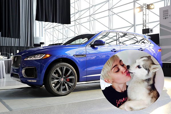 Range Rover / Miley Cyrus (Foto: Getty Images / Instagram)