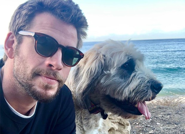 Liam Hemsworth (Foto: Reprodução / Instagram)