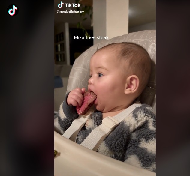 Mãe posta vídeo de bebê experimentando carne e é alvo de críticas na web (Foto: Reprodução/TikTok/Katie Harley)