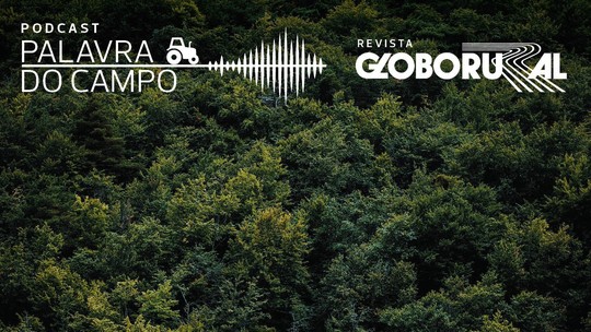Mercado de carbono e agropecuária é tema de podcast da Globo Rural