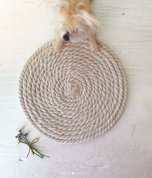 Visto de cima, o cãozinho de lã traz pelo mesclado como um animal real (Foto: Reprodução Instagram)