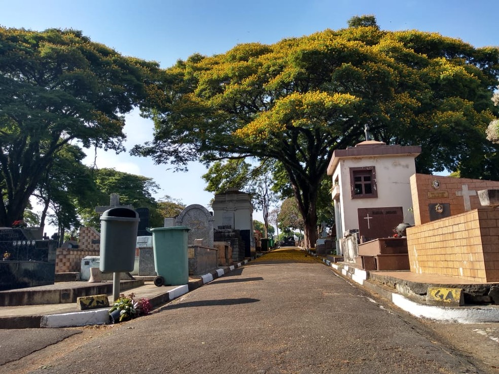Mogi das Cruzes registrou queda nos enterros na compara&ccedil;&atilde;o de junho de 2019 com junho de 2020 &mdash; Foto: Yasmin Castro/G1
